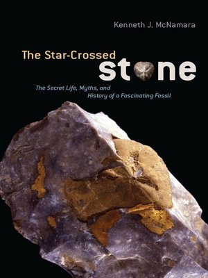 cover image of The Star-Crossed Stone